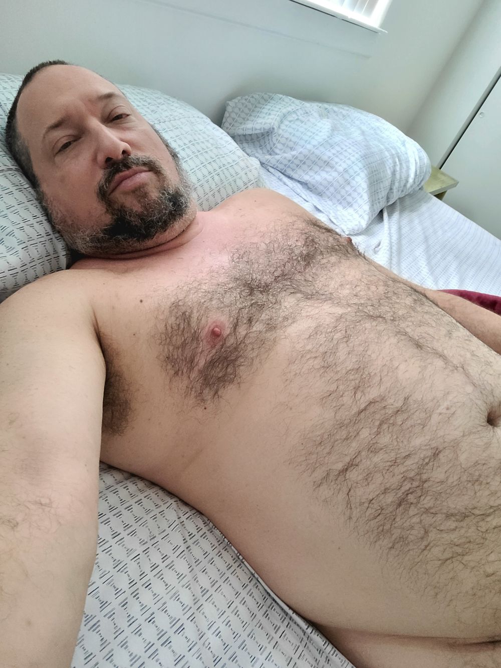 bobthebear OnlyFans profile picture