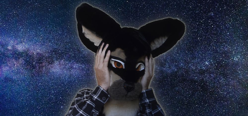 thewolfybae OnlyFans profile picture