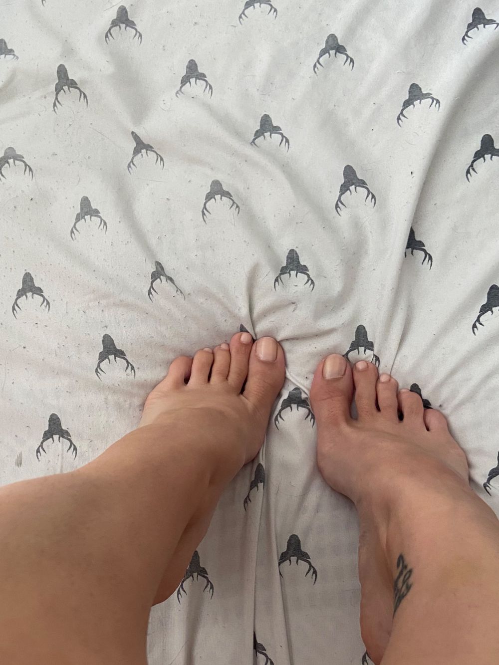 smallcutetoes OnlyFans profile picture