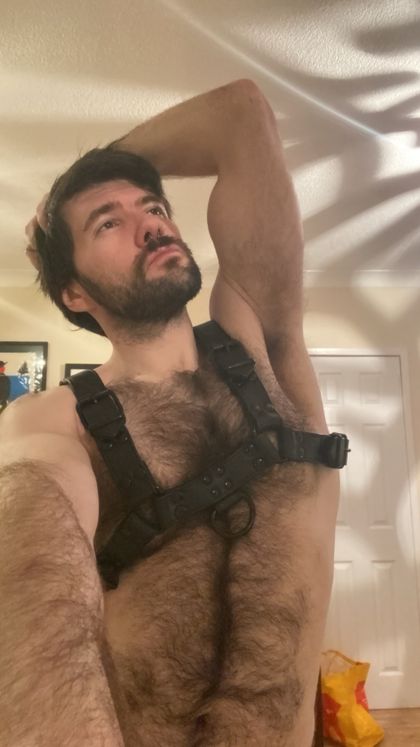 andyodonnellxxx OnlyFans picture
