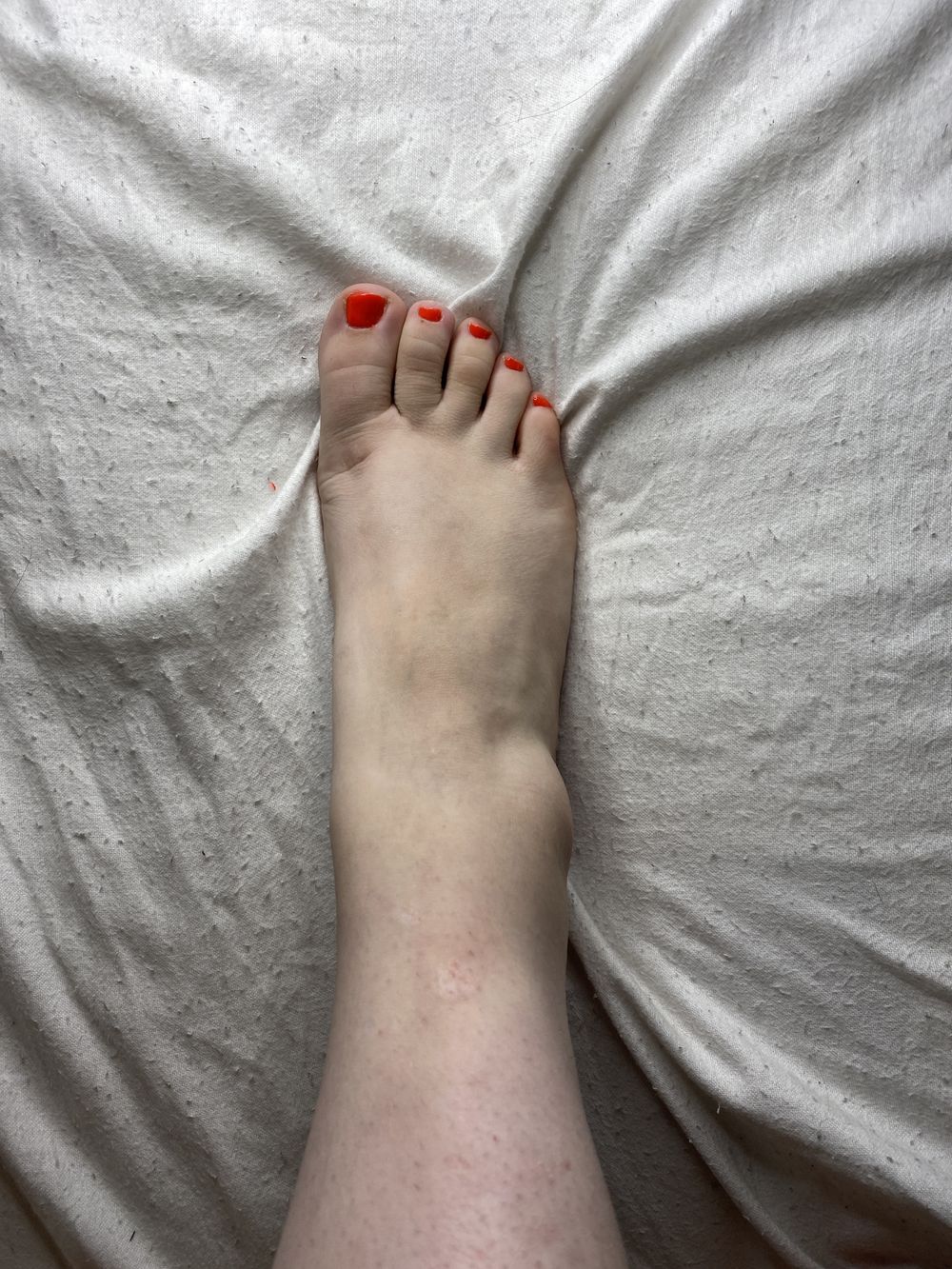 beaubooft OnlyFans profile picture