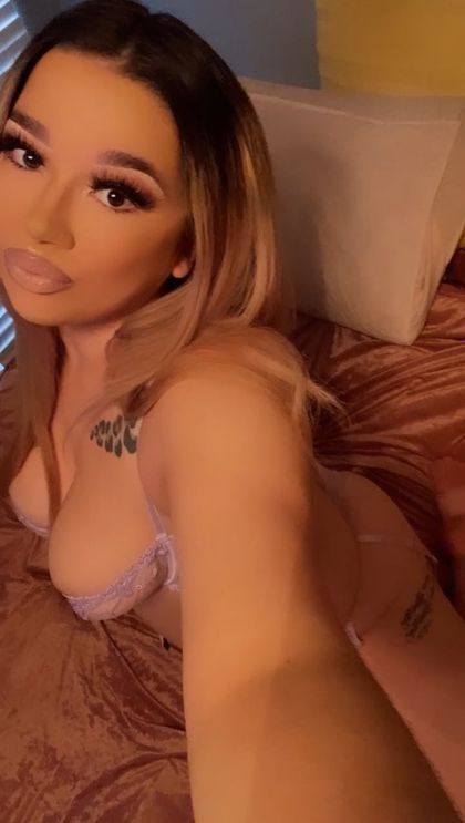 ambvrr444 OnlyFans picture