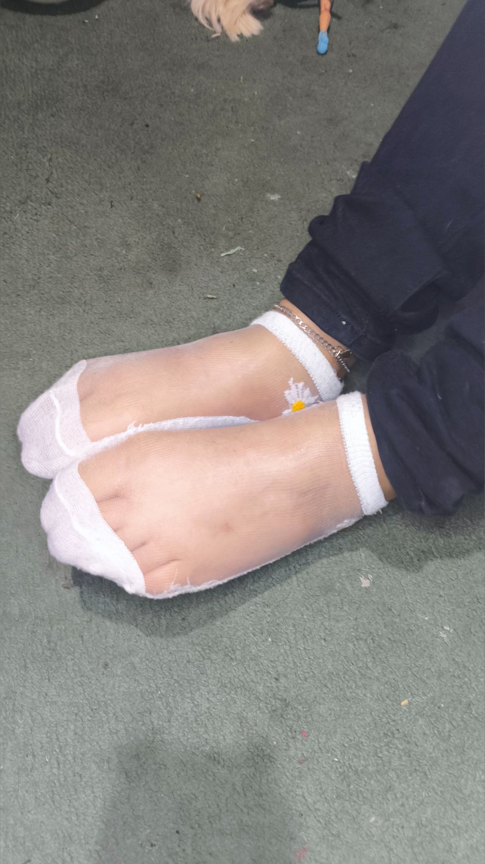 cutesocksmexico OnlyFans profile picture
