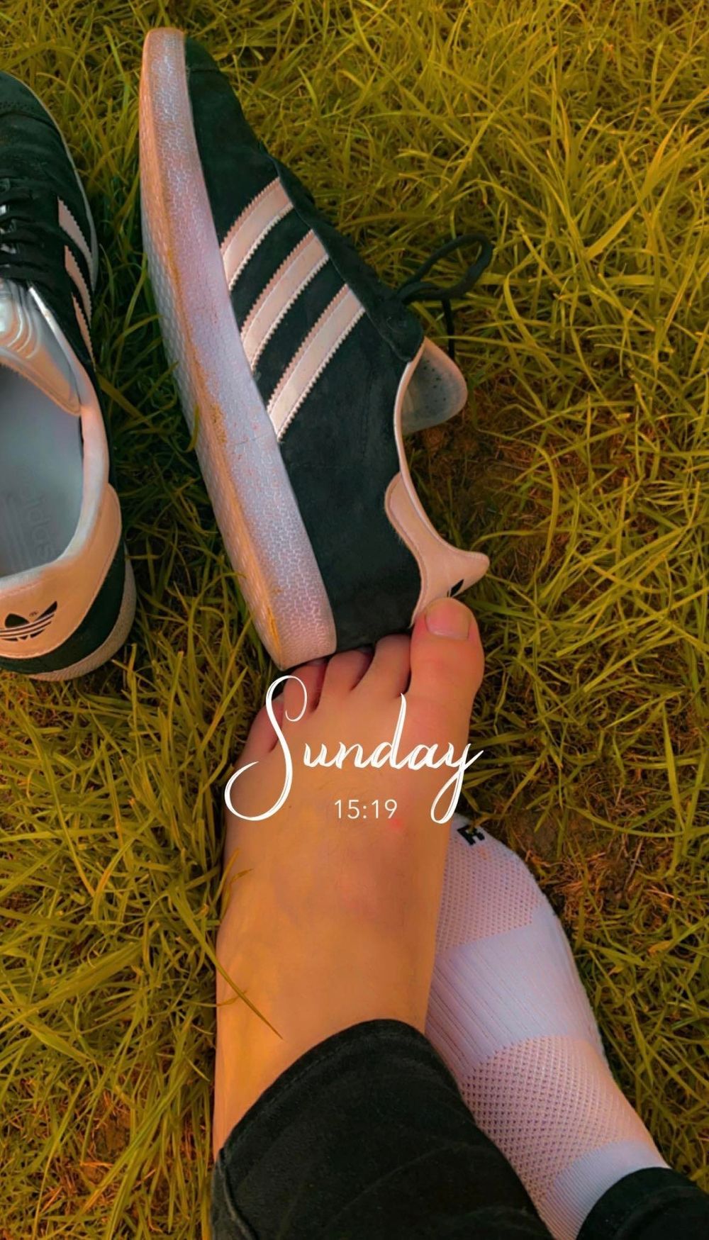 feetforus.com OnlyFans profile picture