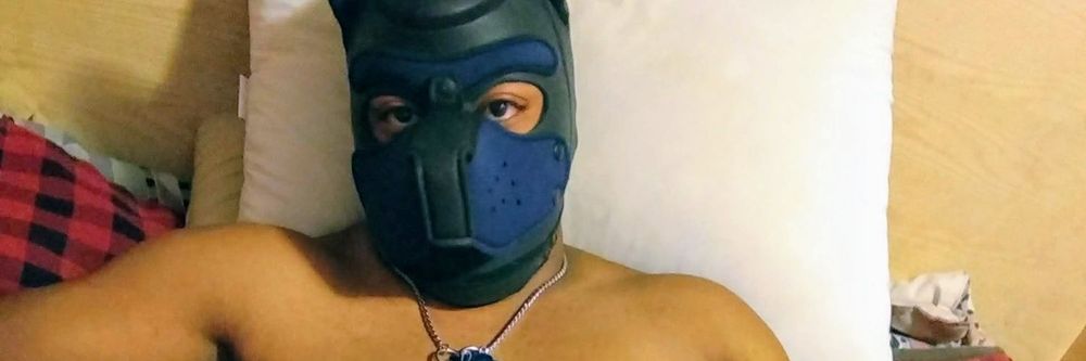 pupbynks OnlyFans profile picture