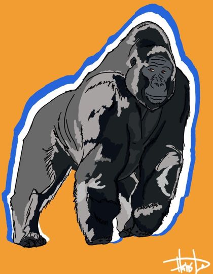 bertthegorilla OnlyFans picture