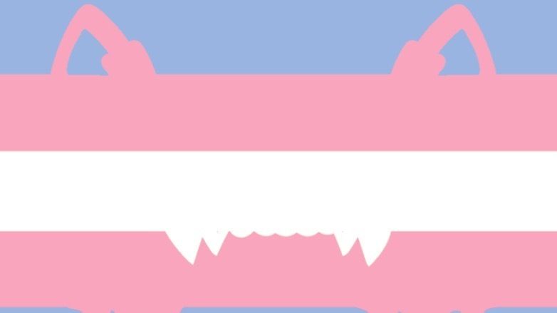 transmascwolf OnlyFans profile picture