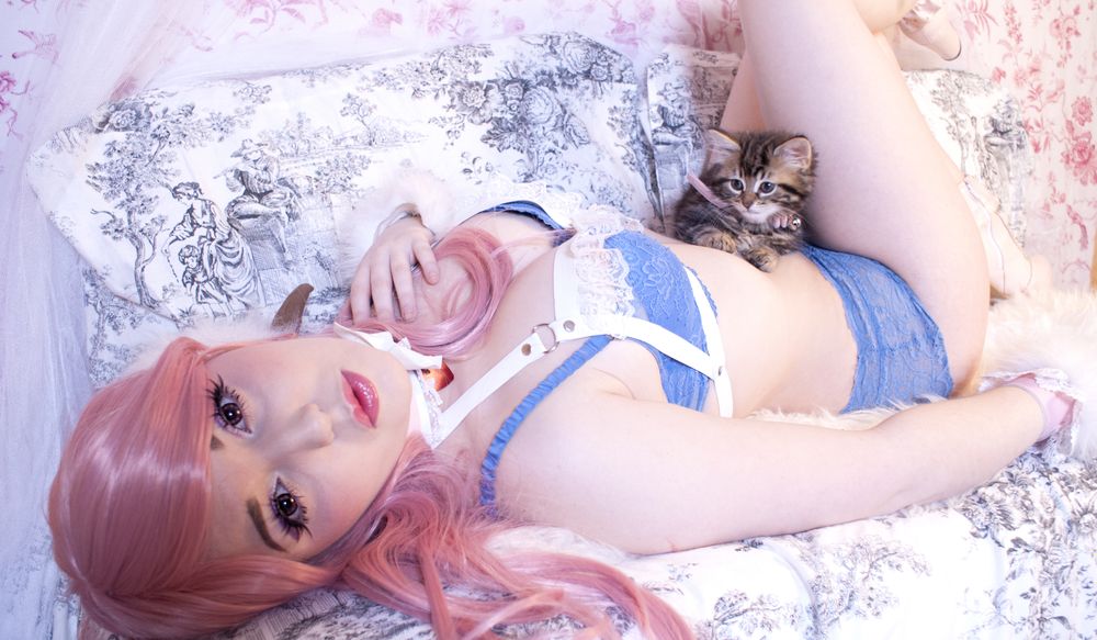 laurellefox OnlyFans profile picture