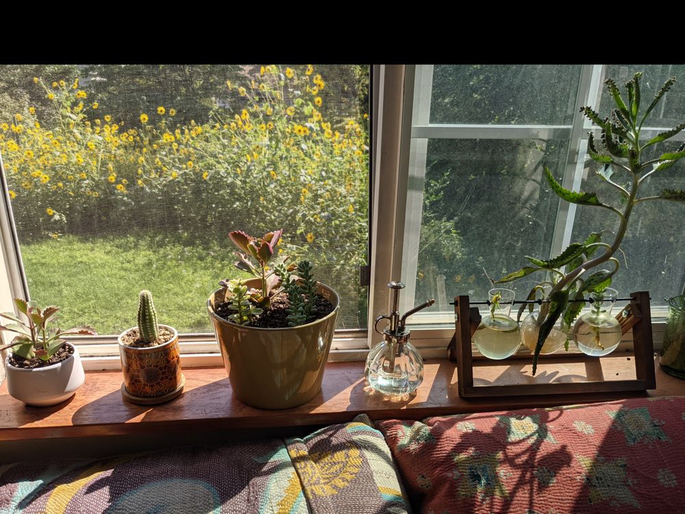 longsunflower OnlyFans profile picture