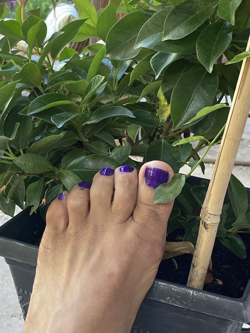 sexyfeet105 OnlyFans profile picture