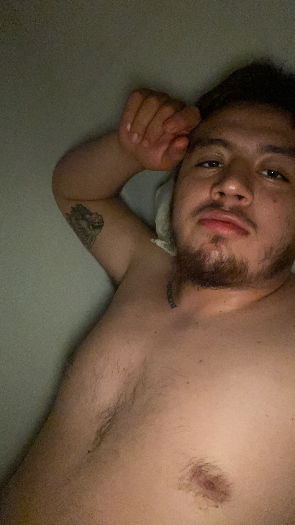 alexisr31216168 OnlyFans profile picture