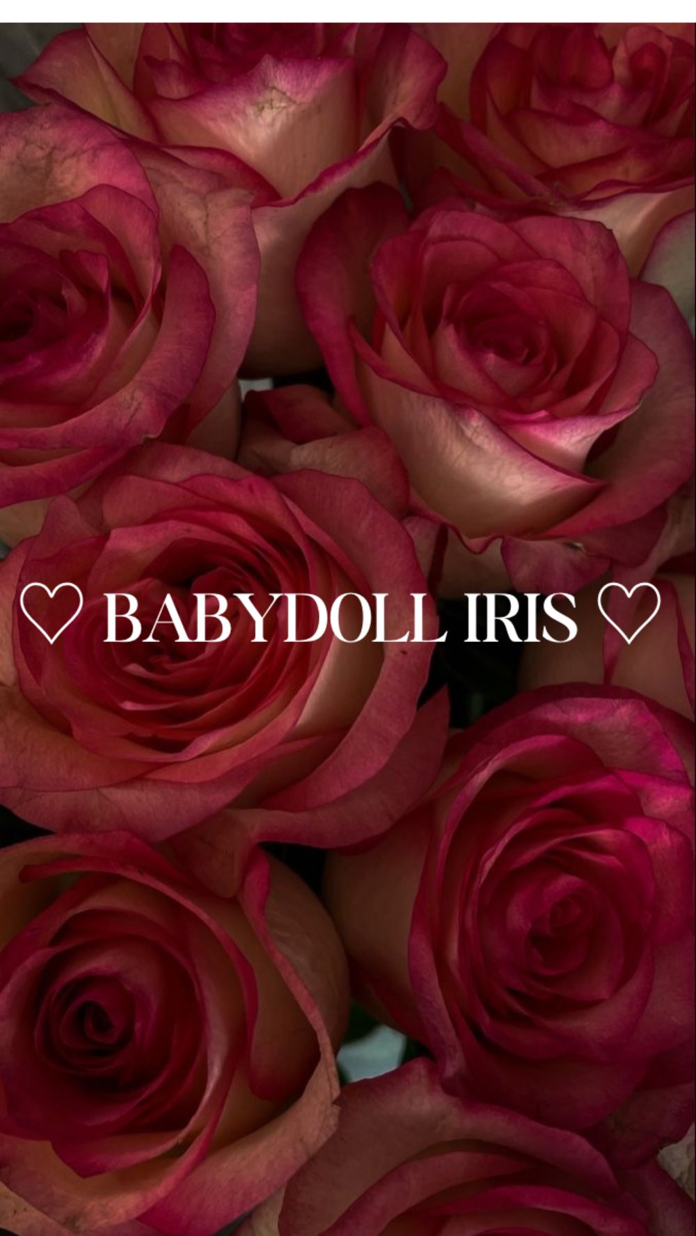 babydolliriss OnlyFans profile picture