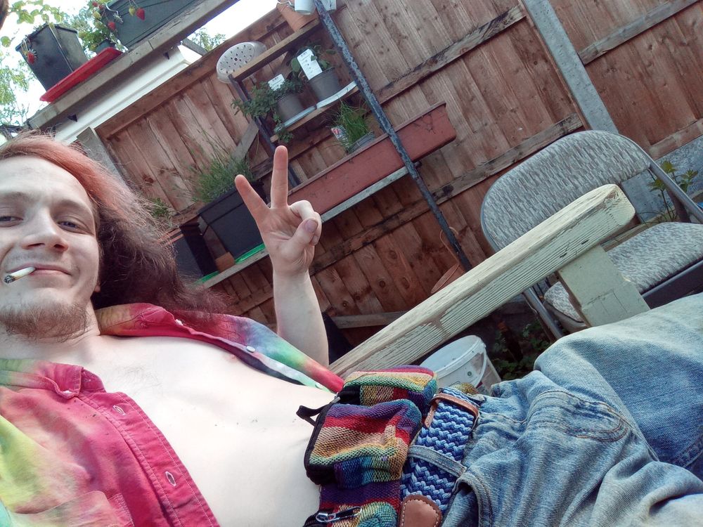 hippystoner69free OnlyFans profile picture