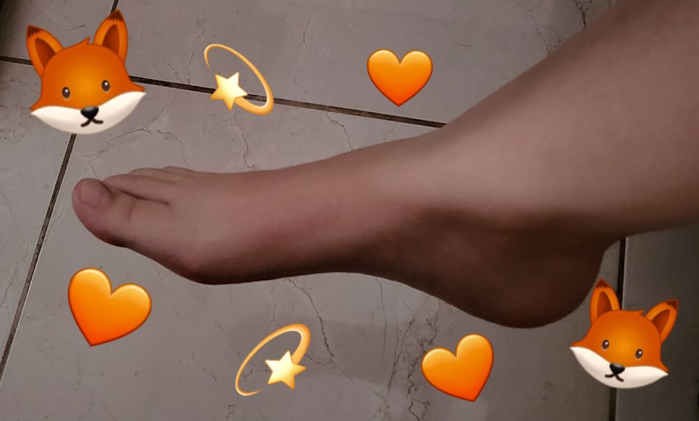 ashfoxy OnlyFans profile picture