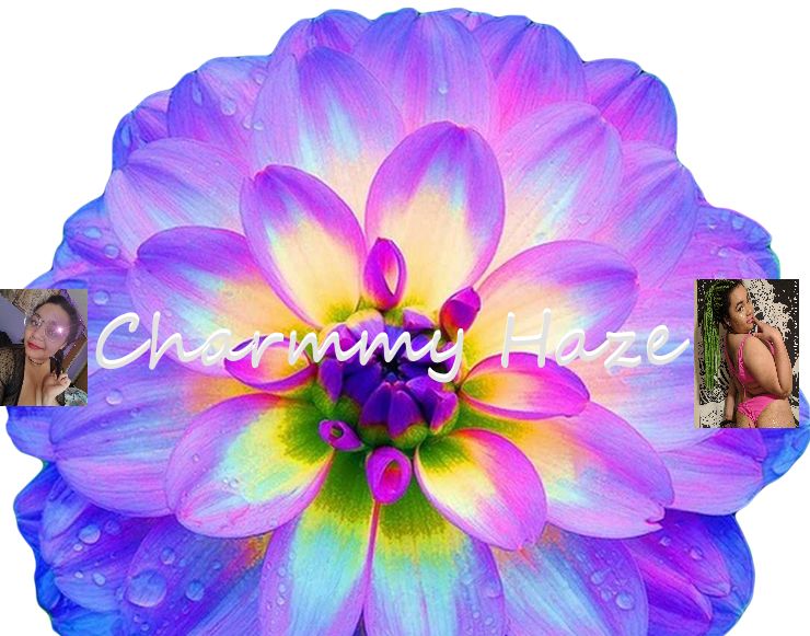 charmmyhaze OnlyFans profile picture