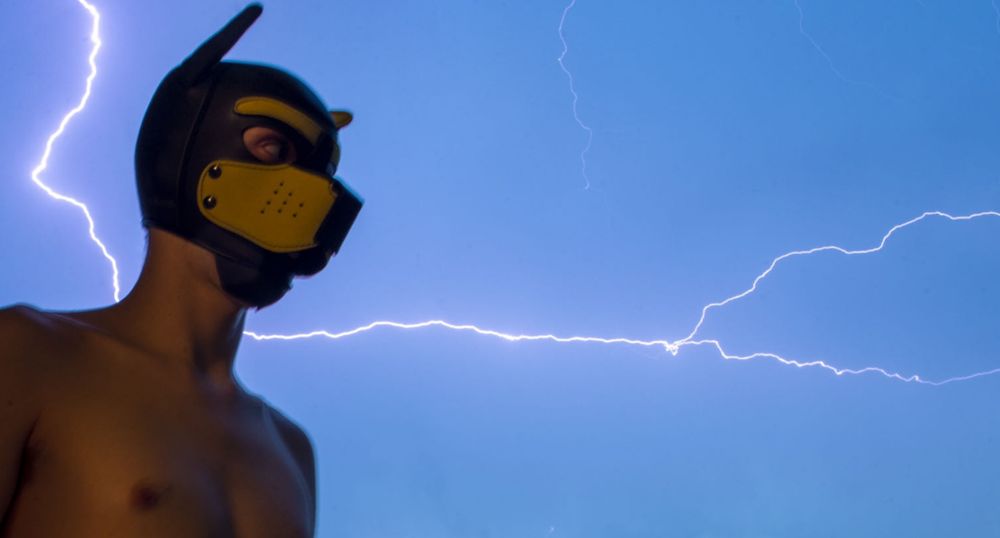 pupvoltzy OnlyFans profile picture