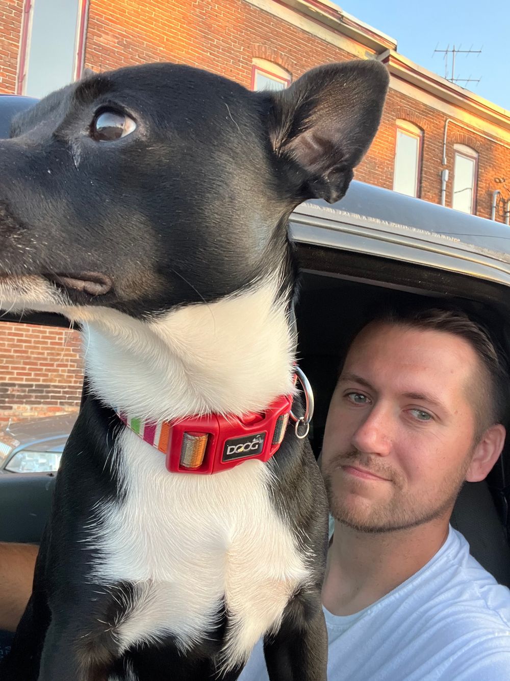 brianschroeder OnlyFans profile picture