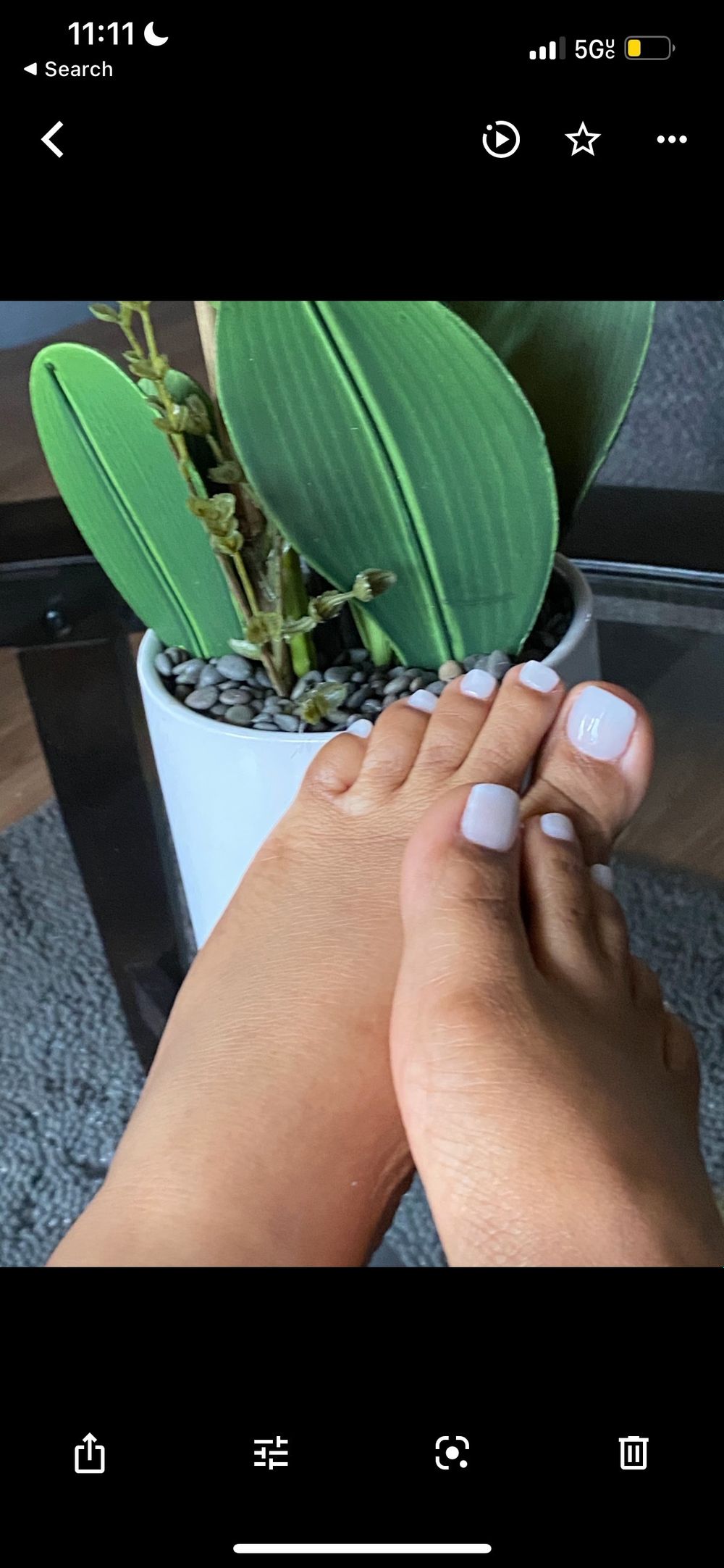 lababypam OnlyFans profile picture