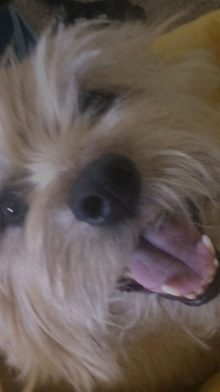 puppiesandbunnies OnlyFans profile picture