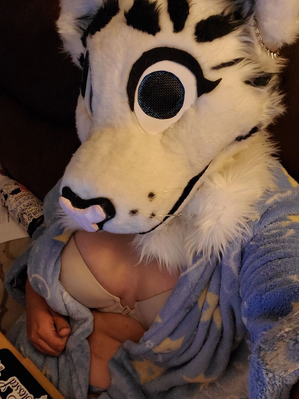 mzboofuzz OnlyFans profile picture