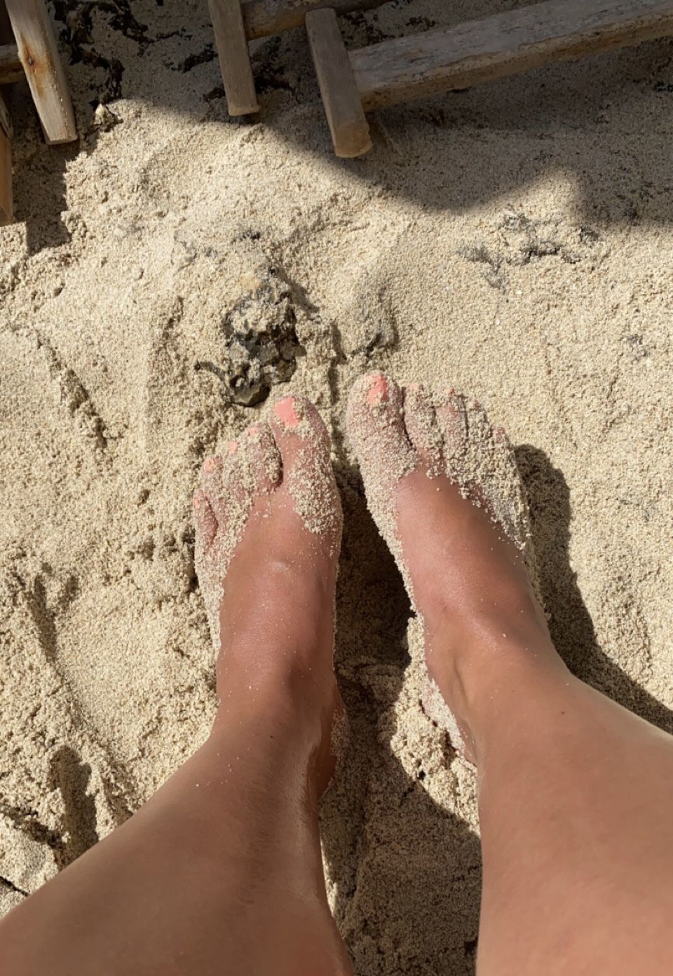 worldoffeet96 OnlyFans profile picture