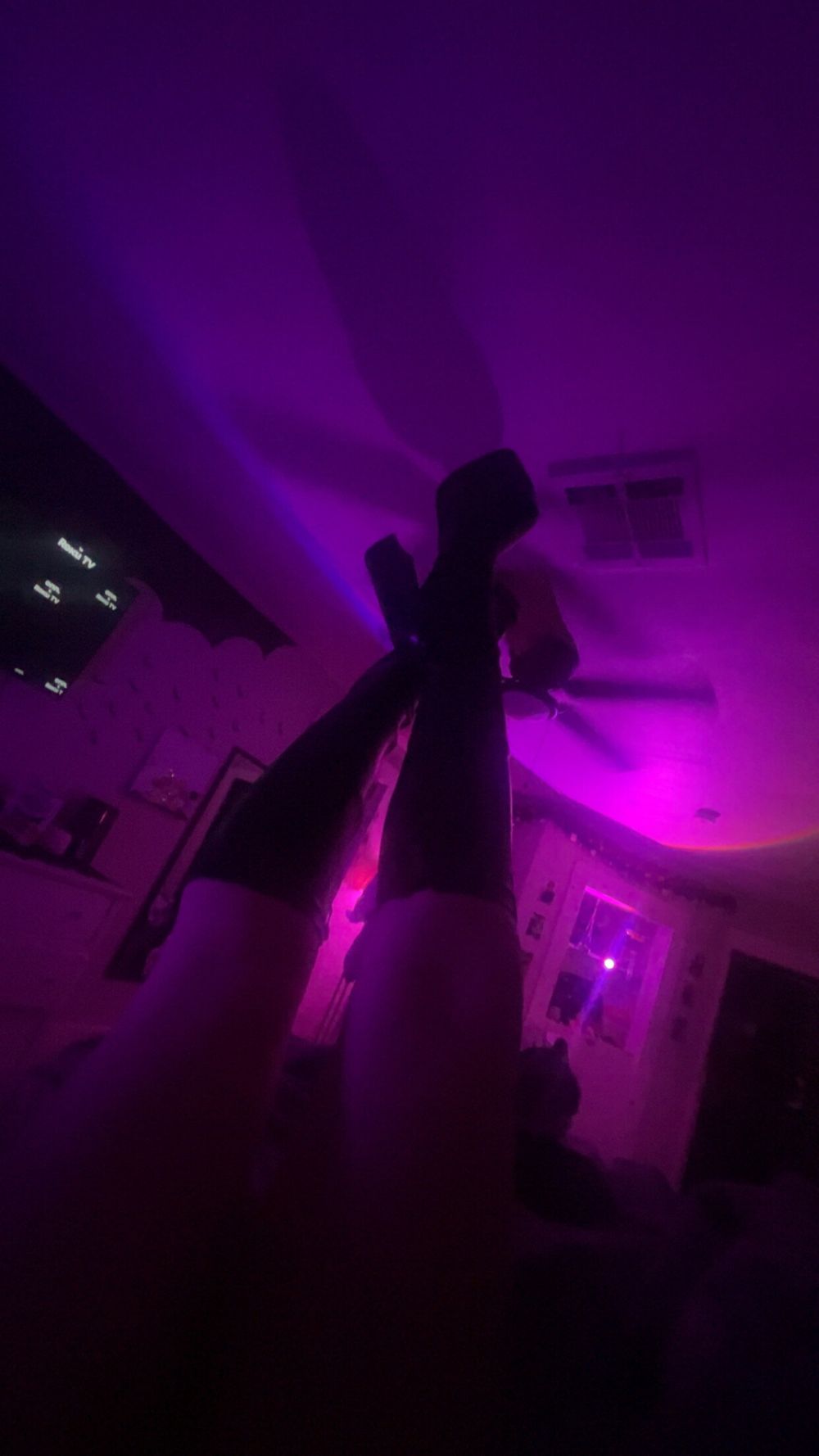 hippepussy OnlyFans profile picture