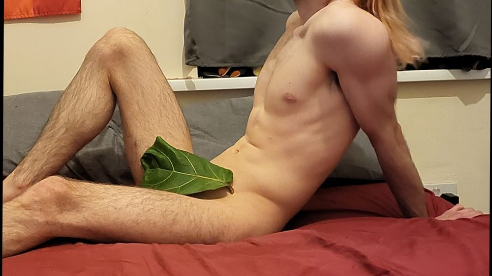 stupidfrick OnlyFans profile picture