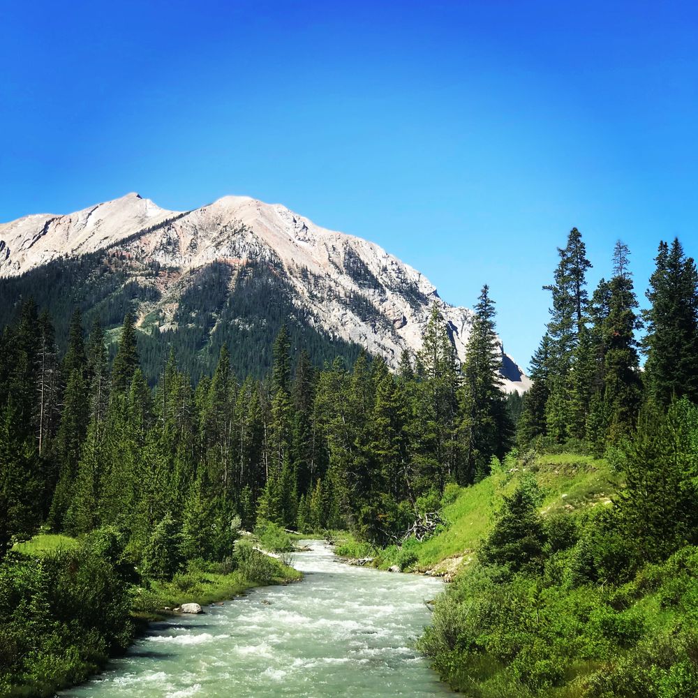 marinade OnlyFans - Free Trial - XXX Photos | FansMetrics.com