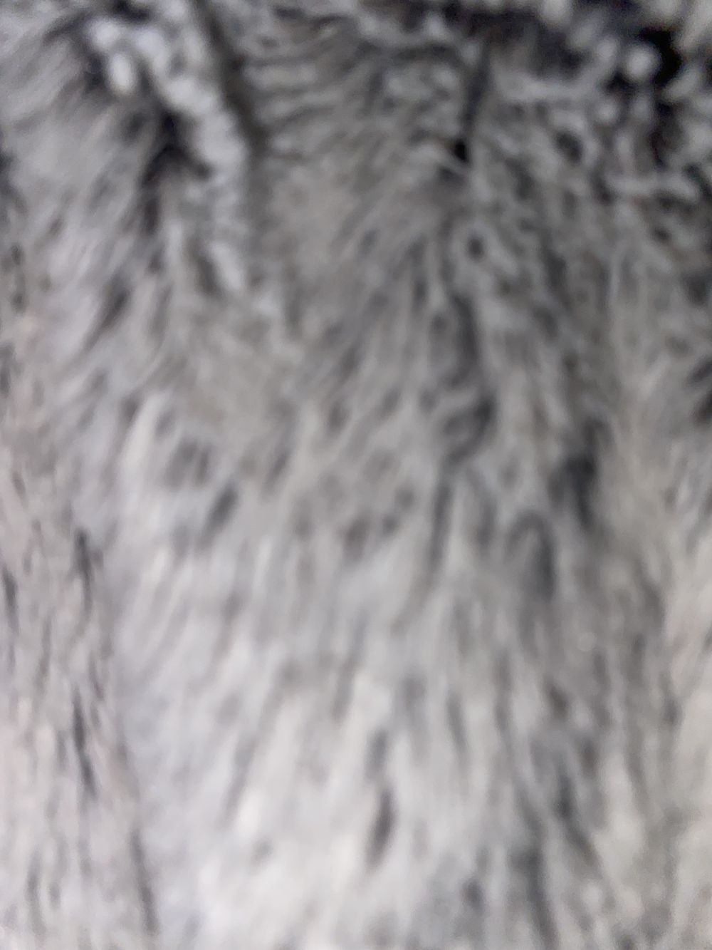 koltenlevi OnlyFans profile picture
