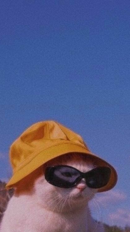 nuriadelavega OnlyFans profile picture