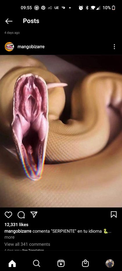 natejenzdick OnlyFans picture