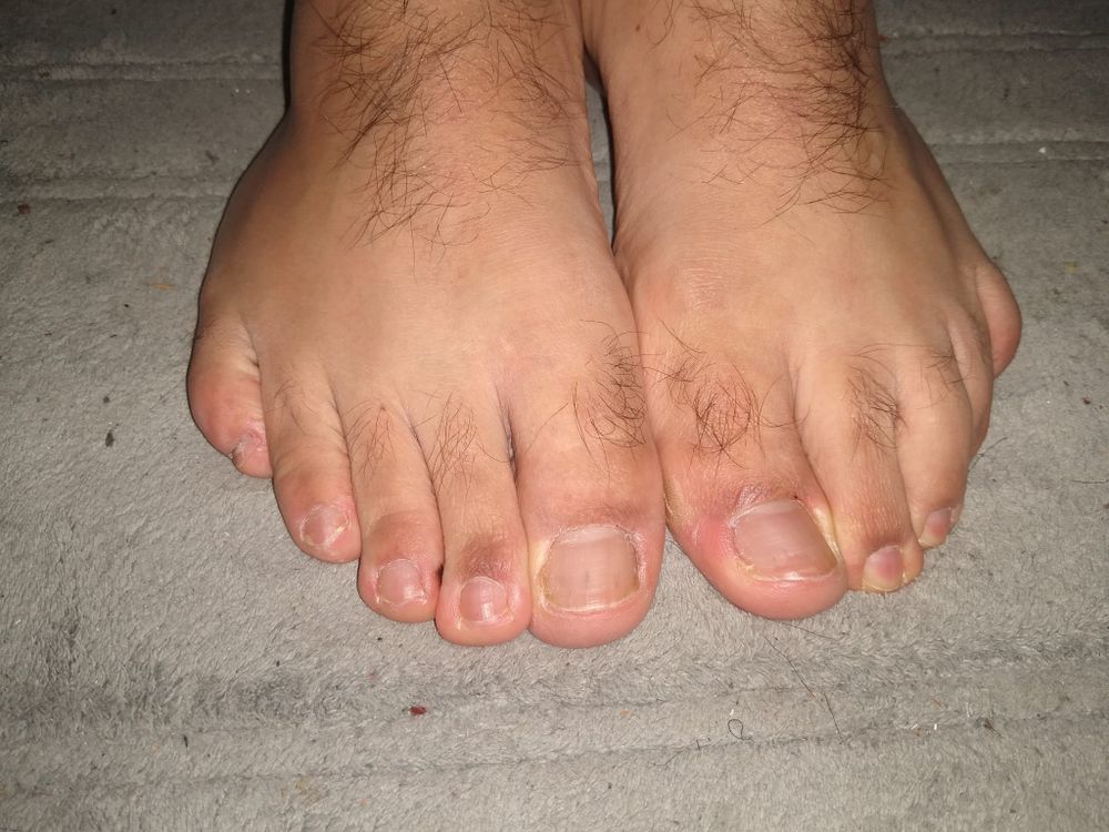 pieslokos OnlyFans profile picture