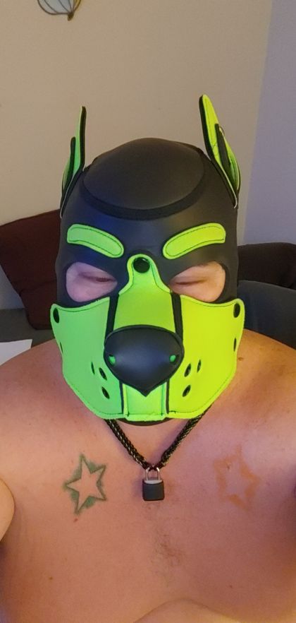 squeekbear OnlyFans picture