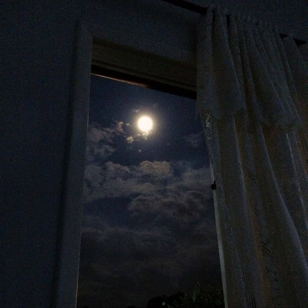 moonlxghtdaisy OnlyFans profile picture