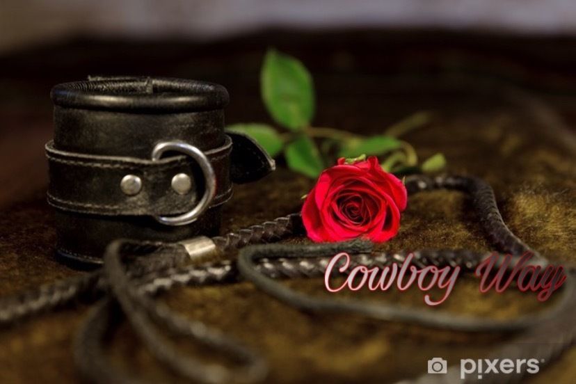 cowboy_way OnlyFans profile picture