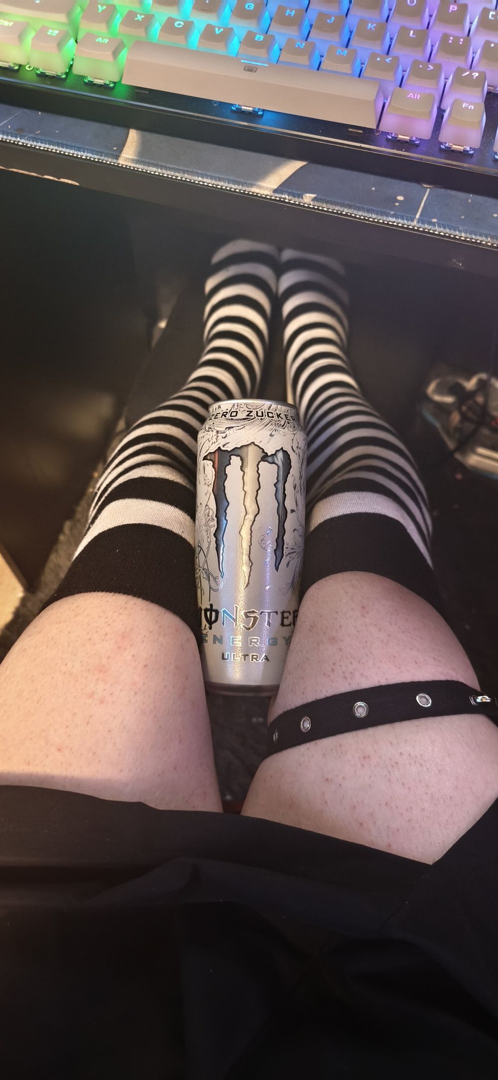 domdomfemboy OnlyFans profile picture