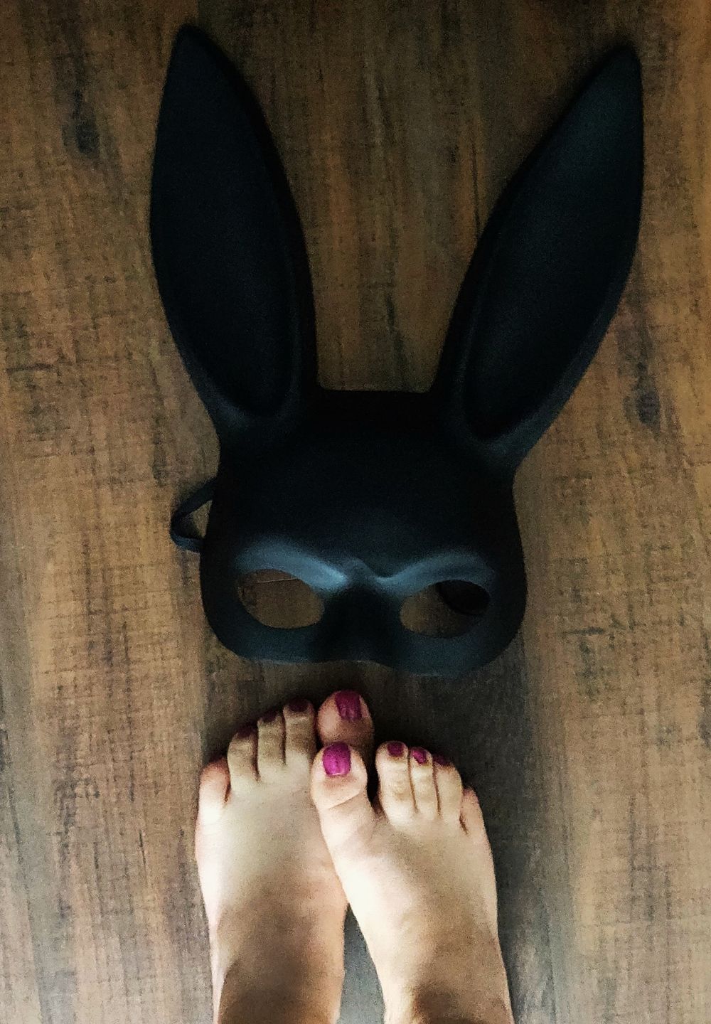 chubbybunnytoes OnlyFans profile picture