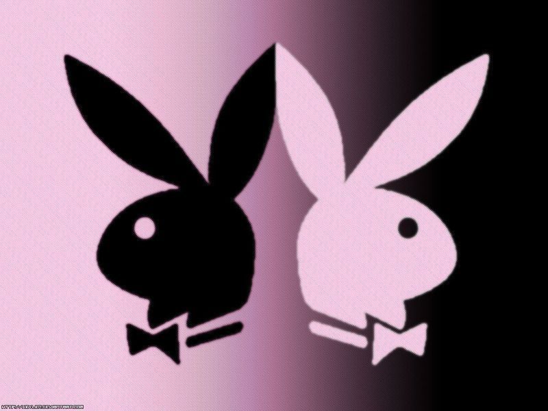 playboybunnyangel OnlyFans profile picture