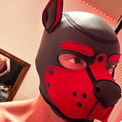 itspupcrimson OnlyFans picture