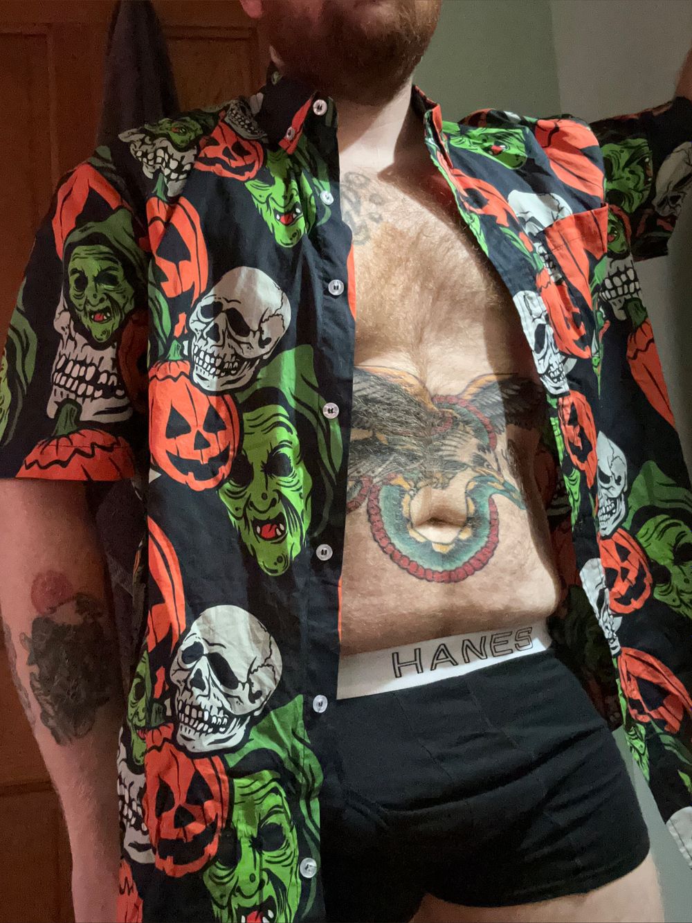 mrpumpkincat OnlyFans profile picture