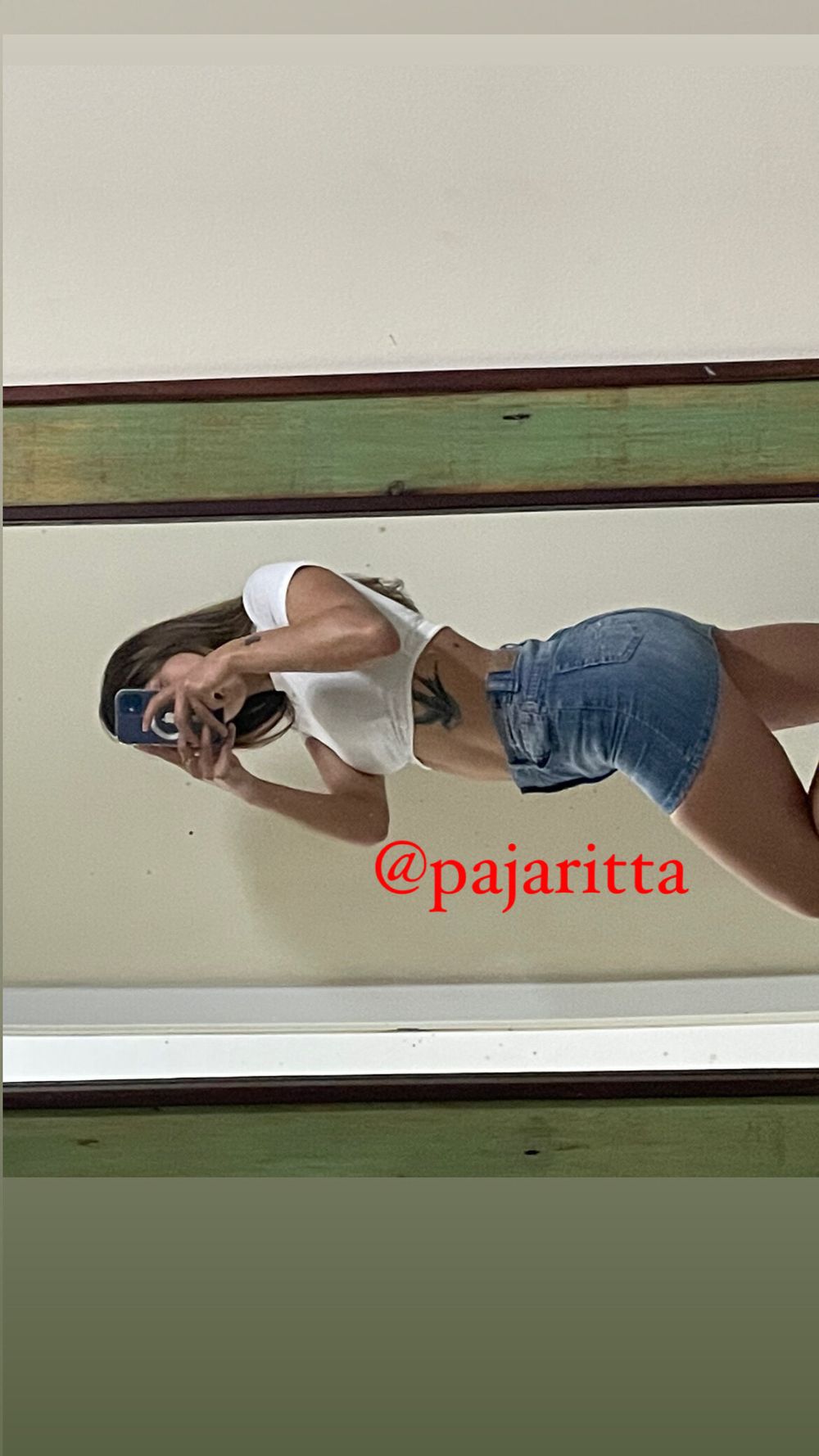 pajaritta OnlyFans profile picture