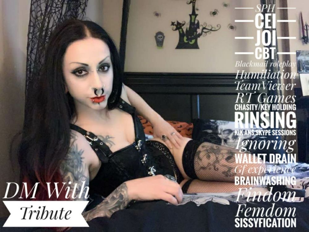 vixenravenous OnlyFans profile picture