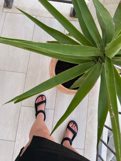 poppyhutchinson OnlyFans picture