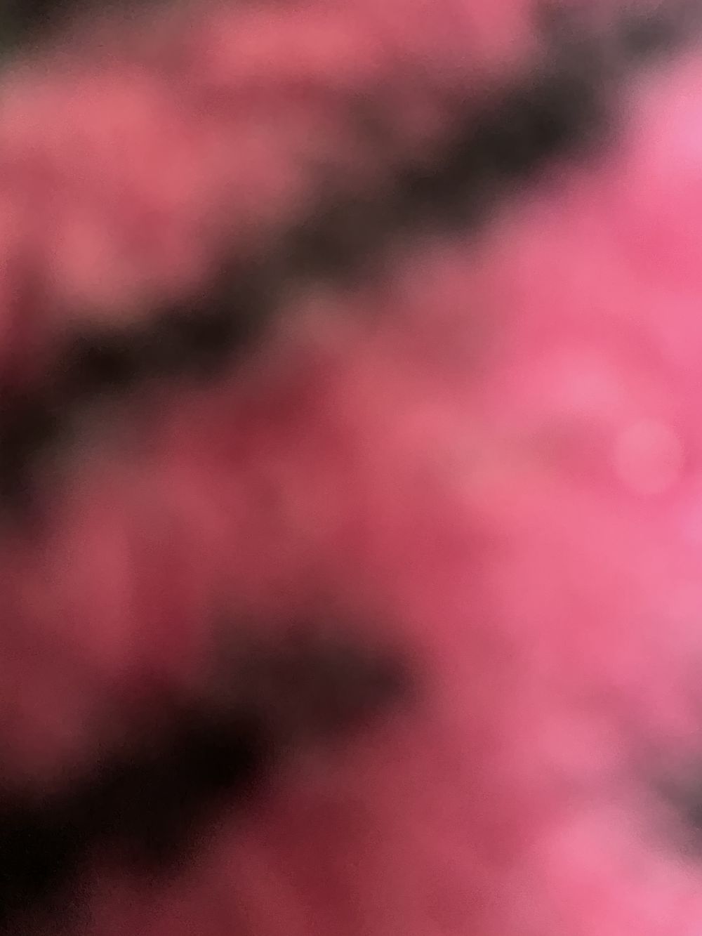 dominiqueeep OnlyFans profile picture