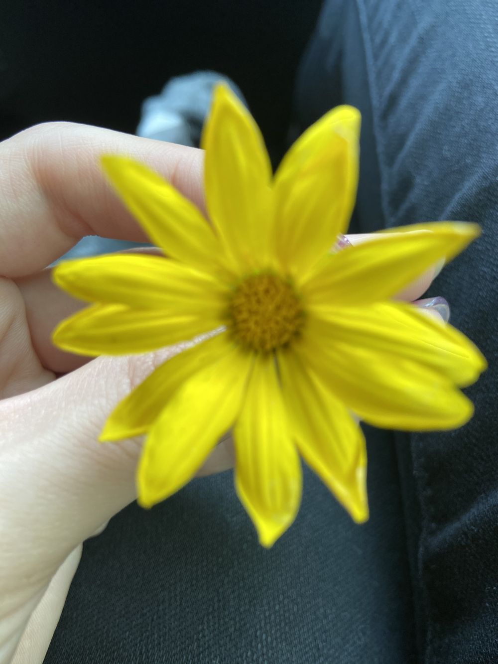 elizah1900 OnlyFans profile picture
