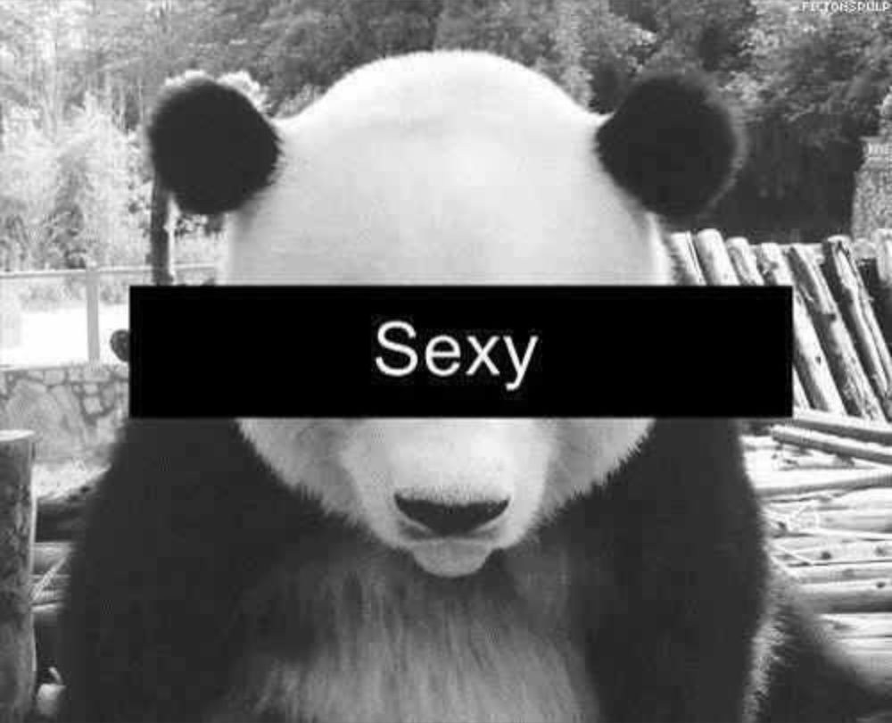 gordopanda OnlyFans profile picture