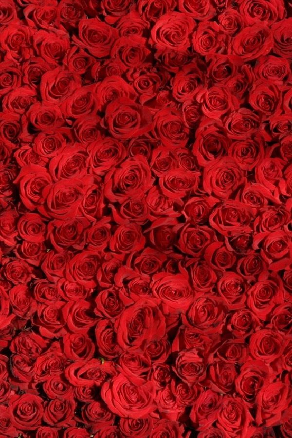 sexbb OnlyFans profile picture