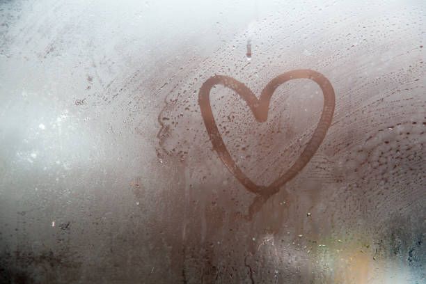 foggy_window OnlyFans profile picture
