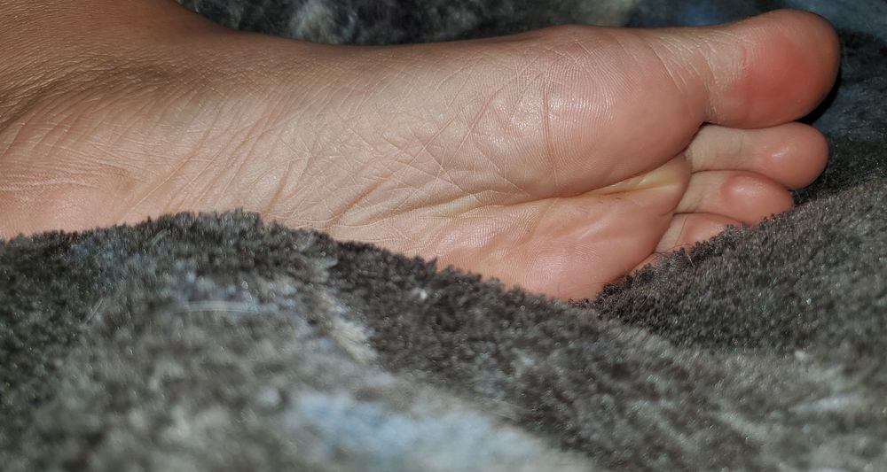 lilyandherfeets OnlyFans profile picture
