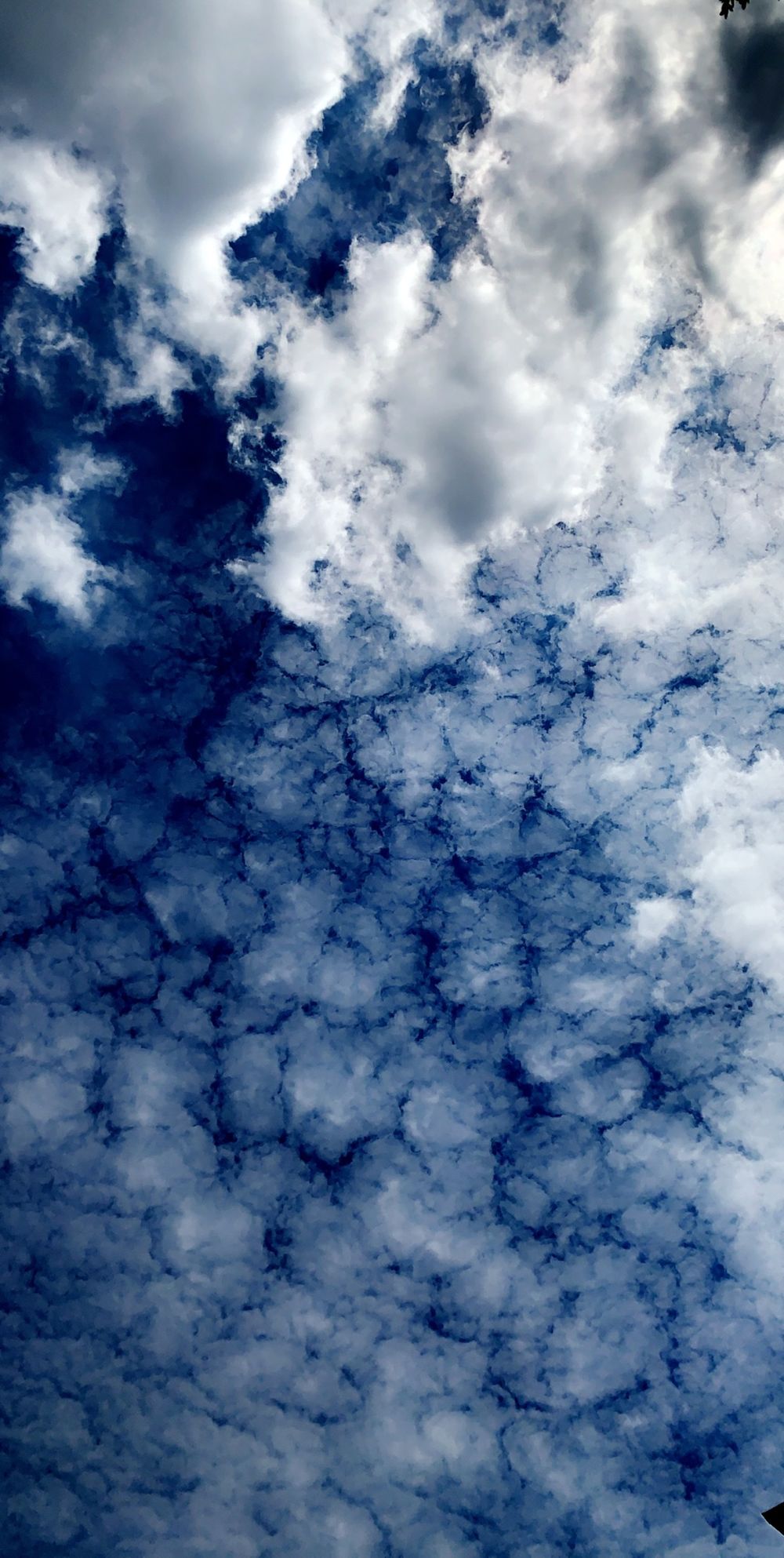 esteban_9 OnlyFans - Stats, Graphs, Photos & Profile Comparisons